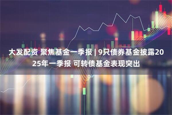 大发配资 聚焦基金一季报 | 9只债券基金披露2025年一季报 可转债基金表现突出